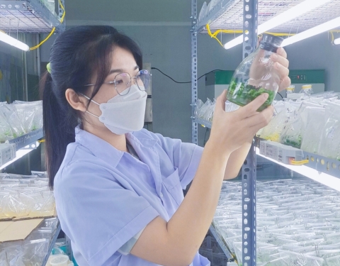 Những câu hỏi thường gặp nhất dành cho SIHOVI