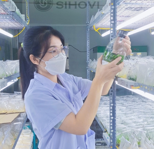 Những câu hỏi thường gặp nhất dành cho SIHOVI