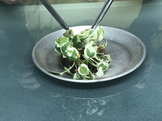 Khách hàng nói gì về SIHOVI?