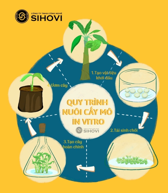 Cam Kết Mang Đến Các Giải Pháp Thân Thiện Với Môi Trường.