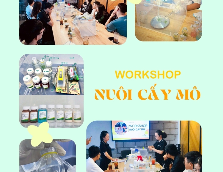 Workshop nuôi cấy mô cho người mới bắt đầu làm quen với phòng thí nghiệm