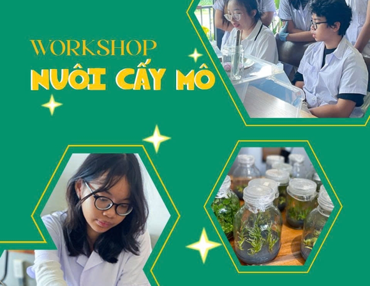 Workshop nuôi cấy mô tại HCM: Hướng dẫn nhân giống thực tế