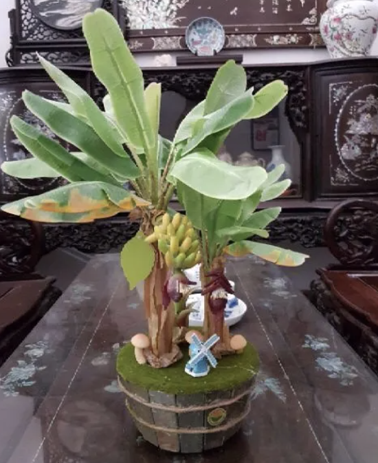 chuoi-lun-mini-trong-chau-thu-duc