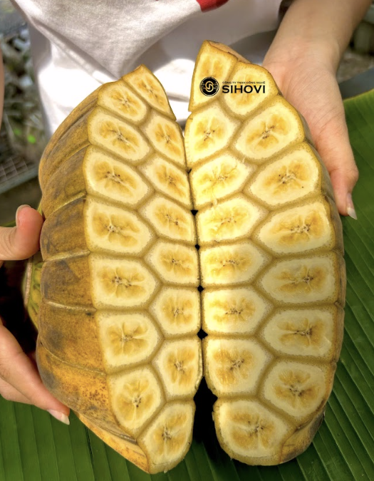 chuoi-ban-tay-phat-trong-tet-thu-duc