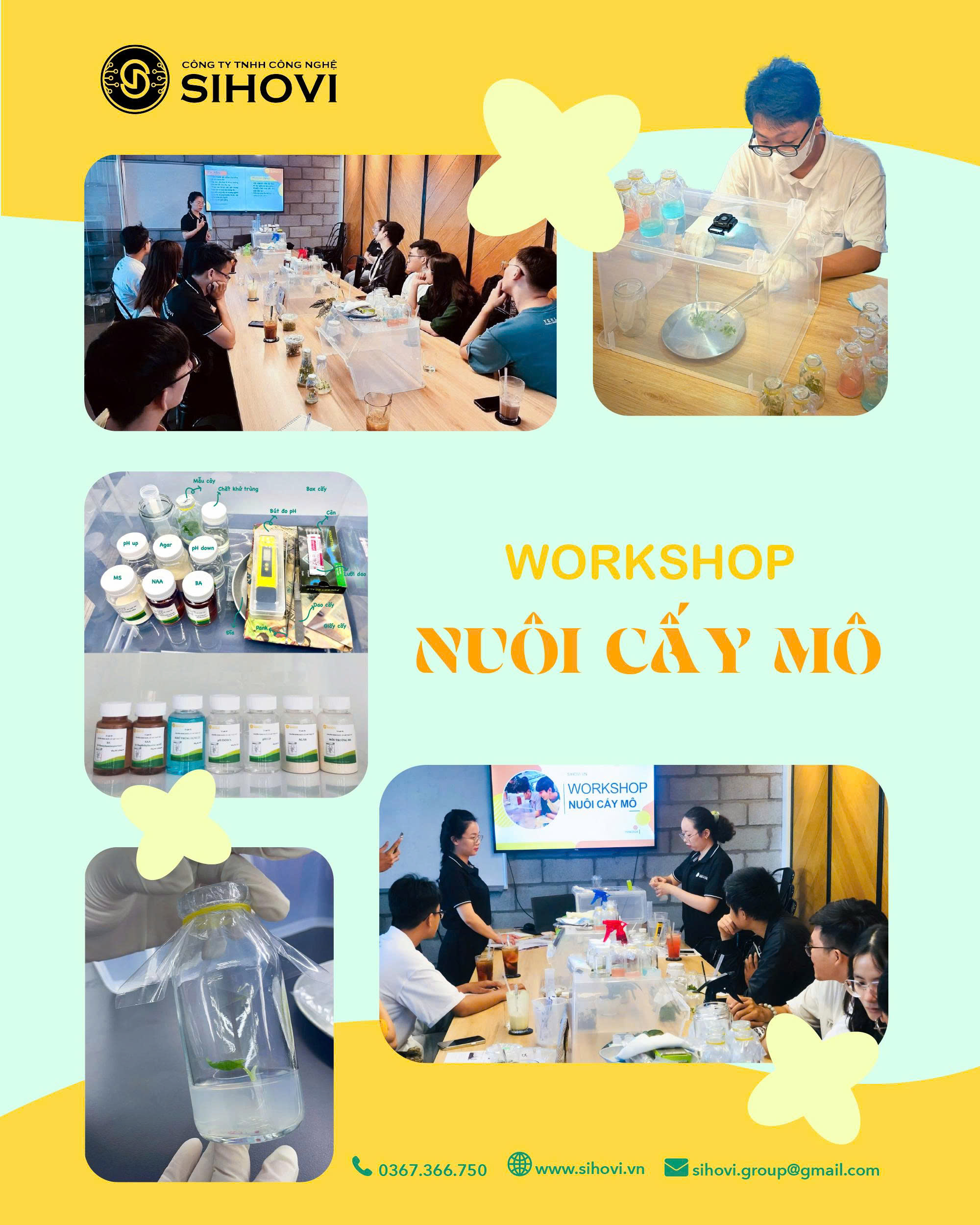 workshop-nuoi-cay-mo-cho-nguoi-moi