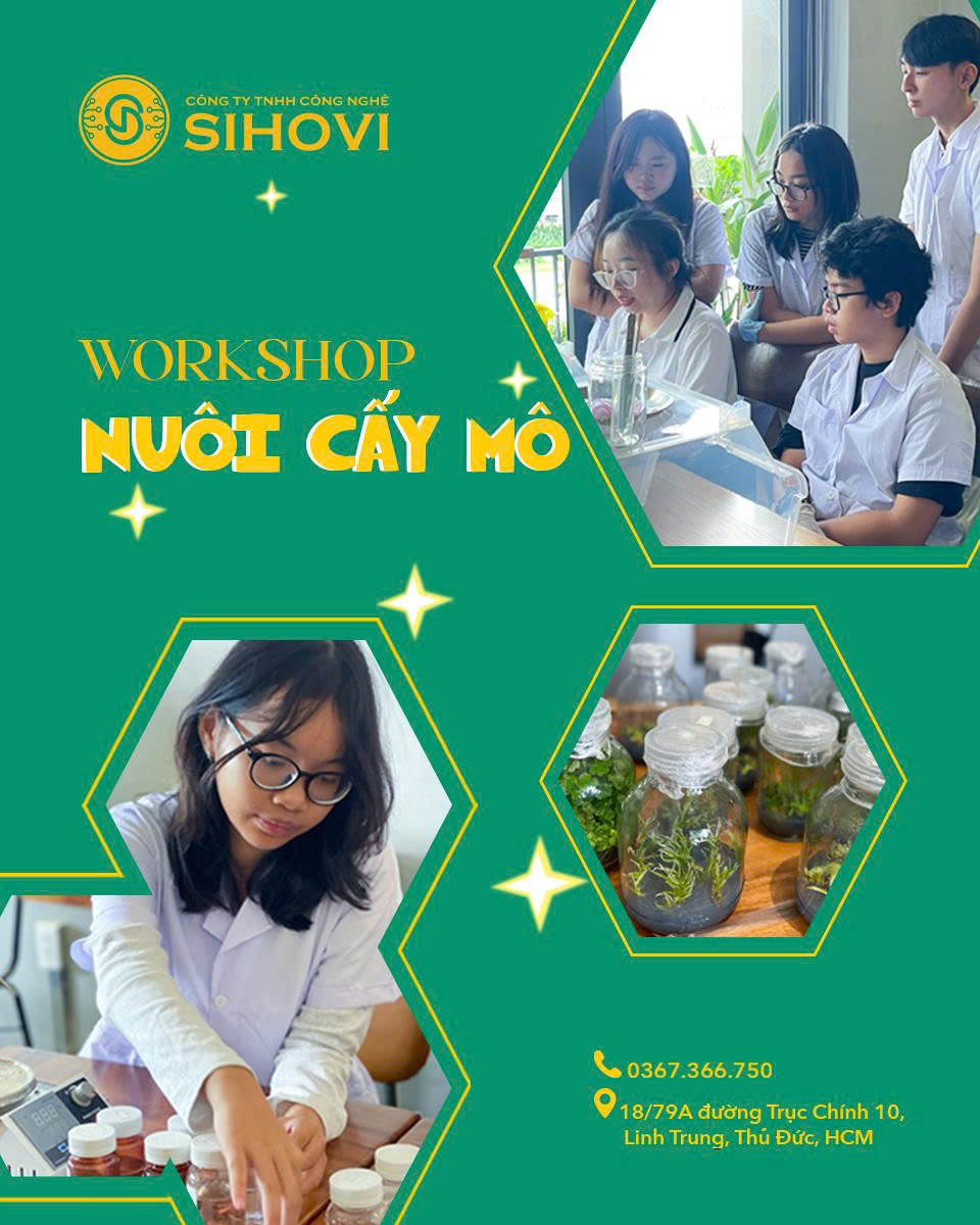 workshop-nuoi-cay-mo-tai-hcm